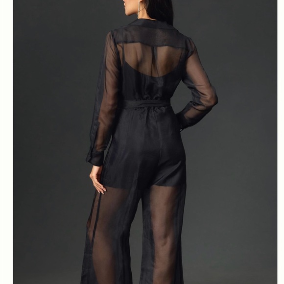 Anthropologie Sheer Jumpsuit - Picture 2 of 6